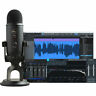 1295 Blue Yeti Professional Recording Kit With Usb Mic 836213001295