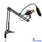 170119-e1 Floureon Condenser Microphone Kit With Arm Stand Shock 617237255198