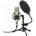 Zy-801 191868754645 Multipurpose Professional Studio Microphone Desktop Computer Cardioid Pc