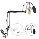 22938 Voilamart Professional Condenser Microphone 714424622938