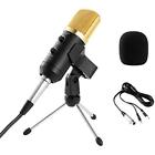 40942 Voilamart Recording Microphone Plug Play Home Studio Vocal 750440971773