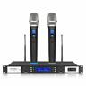 4350981046 Debra Audio Good Sound Adjustable Frequency System Professional 634458007580