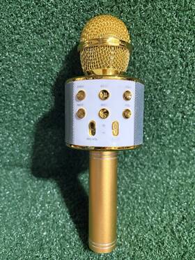 5 Core 810099498370 Camp Invention Gold Microphone Wireless Karaoke Portable Mic