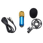 758232228777 Point Cardioid Microphone Studio Sound Audio Recording Condenser