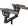 Ast-starlight-sp Aston Microphones Starlight Stereo Pair 5060458750099
