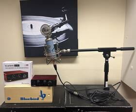 83-92104 Blue Bluebird Slcondenser Microphone W Stand And Focusrite Scarlett Interface
