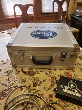 Blue 836213001332 Microphones Cactus Condenser Cable Professional Microphone Mint Condition