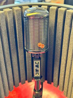 A77bk Cad 631922109696 Large Diaphragm-dynamic Microphone And Desktop Reflection Filter