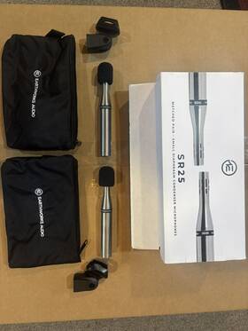 Sr25mp Earthworks Small-diaphragm Condenser Instrument Microphone - Matched Pair