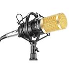 Nw-800 Neewer Recording Broadcasting Microphone Condenser