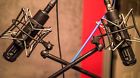 Rm-5c Telefunken Silvia Cardioid Ribbon Microphone