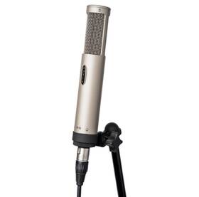 Royer 850035900796 R-12 Active Ribbon Microphone
