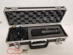 C-201 Se Electronics Silicon Entourage Vintage Mic Original Version Of 2000