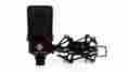 Tlm-103-ml Tlm-103 Neumann Monolith Edition Condenser Mic Rare Black Tlm103 Ml U058778
