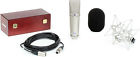 U87ai U87aisetz Neumann U87 Ai-setz Mic