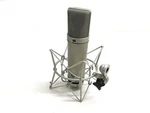 Neumann Ai P48 Xlr Condenser Microphone Studio Set - Genuine Authentic. Fixed Price $2249.00.
