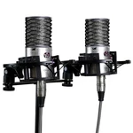 Aston Origin Large-diaphragm Cardioid Condenser Microphone Stereo Pair. Fixed Price $299.00.