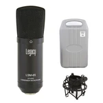 LSM-65 Studio Condenser Microphone With Shock Mount And Case. Fixed Price $69.99.