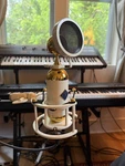 Soyuz Microphones SU-017 Large Diaphragm Cardioid Tube Condenser 2010. Fixed Price $3699.99.