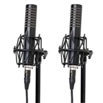Royer Labs R-101 Ribbon #2808: Passive Microphones Matched. Fixed Price $2100.00.