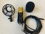 Floureon BM-800 Condenser Microphone W/ Cable & Windscreen Gold Black Cage. Fixed Price $24.95.