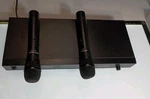 Gem Sound GMW-61 Wireless Dual System With 2. Fixed Price $39.00.