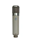 Beesneez Tribute Microphone Ela M251. Fixed Price $4410.00.