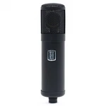 Slate Digital ML-1 Large Diaphragm Modeling Microphone Matte Black. Fixed Price $249.99.
