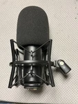 Stage Right LTM500 Tube Microphone With Pop Filter And Holder. Fixed Price $120.00.