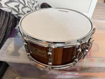 Brady 6.5X14 Wandoo Stave Snare Mayea Sennheiser MD409 - Play Restore. Fixed Price $2695.00.