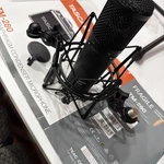 Tascam TM-280 Large-diaphragm Condenser Microphone With Shock Mount. Free Ship. Fixed Price $129.97.