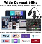 Micyusing BM-800 Audio Interface & Condenser Microphone Set, Cardioid, Dsp Chip. Fixed Price $99.99.