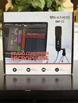 Blackmore Pro Audio, Condenser Microphone. Fixed Price $49.99.