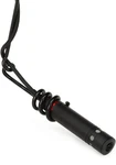 Audio-technica Pro 45 Cardioid Condenser Hanging Microphone Black. Fixed Price $109.00.