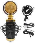 Rockville RCM02 Pro Studio Recording Condenser Microphone Mic+metal Shock Mount. Fixed Price $46.95.