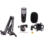Cad Audio PM1200 Podmaster Super-d Broadcast / Podcast Microphone. Fixed Price $89.99.