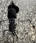 Tonor Usb Microphone Black With Adjustable Stand Pop Filter. Fixed Price $10.00.