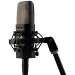 Warm Audio WA-14 Large-diaphragm Condenser Microphone. Fixed Price $399.00.