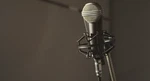 Lomo 19A-9 Vintage Microphone Matte Black. Fixed Price $4900.00.