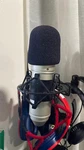 2 Stellar Labs CM1800 Studio Condenser Microphone + Shock Mount. Fixed Price $35.00.