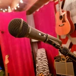 Radio Shack Unidirectional Dynamic Microphone 33-3037. Fixed Price $30.00.