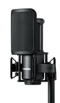 Shure SM4 Studio Recording Microphone Kit, Xlr Home Condenser With.... Fixed Price $269.00.
