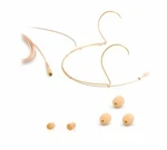 Dpa 4066-OC-A-F00-LH D:fine Core Omni Headset Microphone Microdot Beige. Fixed Price $810.00.