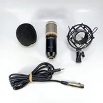 Zingyou Condenser Microphone BM-800 With Cable And Shock Mount Foam Cover. Fixed Price $38.90.