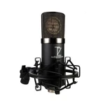 Stellar X2 Vintage Large-diaphragm Cardioid Condenser Xlr Microphone. Fixed Price $518.37.