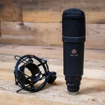 Oktava MK-319 Studio Condenser Microphone With Shockmount MK319 Mike U281677. Fixed Price $189.99.