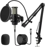 Xlr Condenser Microphone, Professional Cardioid Recording Kit With 25. Fixed Price $98.99.