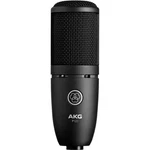 Akg P120 Cardioid Condenser Microphone (black). Fixed Price $89.99.