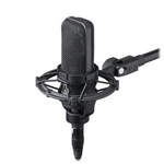 Audio-technica AT4033A Side-address Cardioid Condenser Microphone. Fixed Price $439.00.