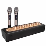 Acnos MI-30S (V2.0) Karaoke Vocal & Music Mixer + Dual Uhf Wireless Mics. Fixed Price $240.00.